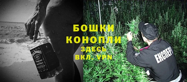 гидра Аркадак