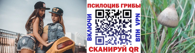 Галлюциногенные грибы мицелий  где найти наркотики  Новоузенск 